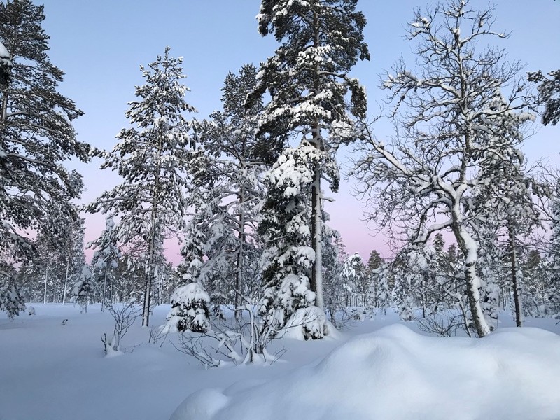 Baksidan av huset vyn från sovrummet